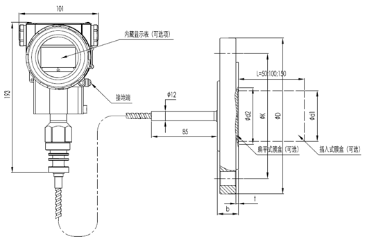 絕對壓力遠程變送器